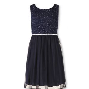 Sparkly Navy Dress